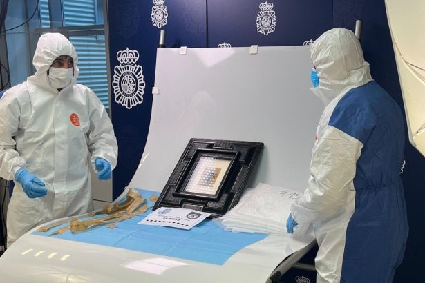 Spanelksa policia nasla Picassov obraz strateny na vystave