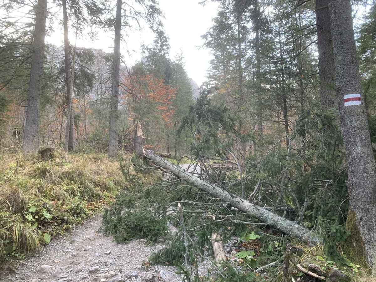 Vietor v noci v Tatrach vyvracal stromy