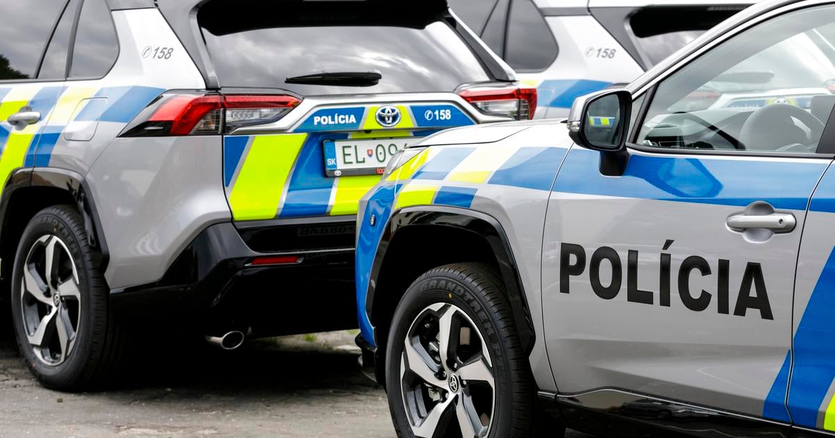 Dvoch muzov kradnucych zadrzal policajt mimo sluzby