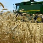 Eurokomisia predlozila strategiu pre biohospodarstvo