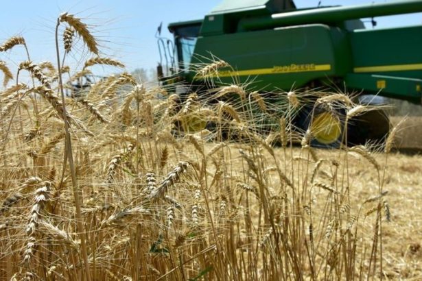 Eurokomisia predlozila strategiu pre biohospodarstvo