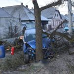 FOTO Jazdu vodicky ukoncil celny naraz do stromu