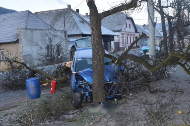 FOTO Jazdu vodicky ukoncil celny naraz do stromu
