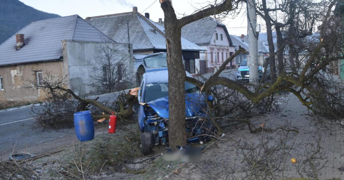 FOTO Jazdu vodicky ukoncil celny naraz do stromu