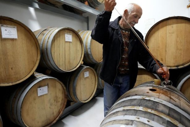 Globalna produkcia vina tento rok vzrastla ale zostala pod priemerom