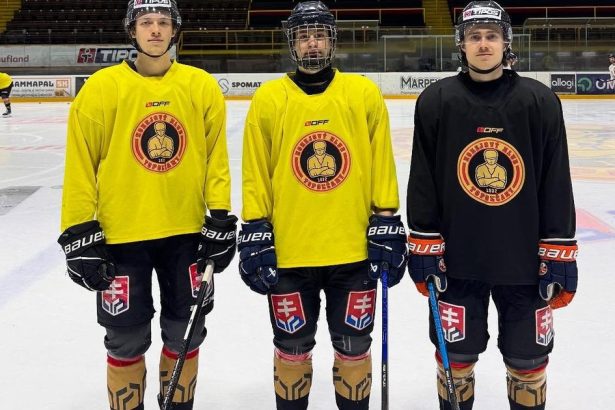 HC Musla reaguje na krizu dvaja Kanadania a obranca Slovana smeruju do Topolcian Tim opusta Mamonov