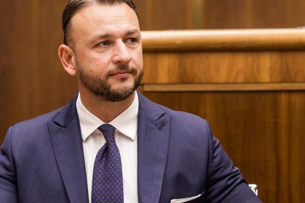 Hlas ma podla Sutaja Estoka viacerych kandidatov na podpredsedu vlady