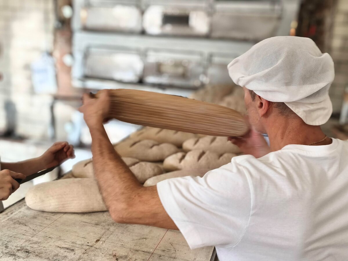 Kvasok ozivuju denne uz styridsat rokov