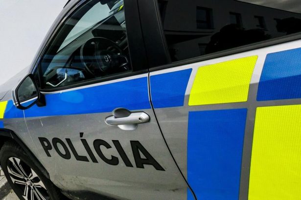 MICHALOVCE Na dvore rodinneho domu nasli mrtvu zenu