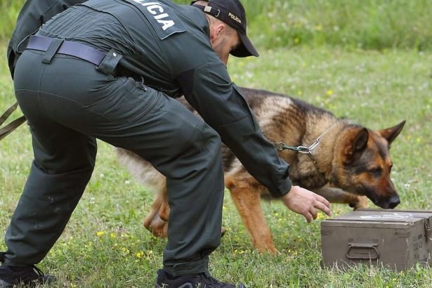 MV SR nakupi nove koterce pre sluzobne psy za 659000 eur