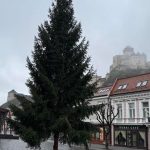 Mierovemu namestiu v Trencine dominuje smrek vysoky 14 metrov