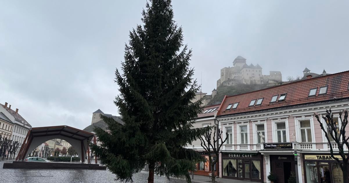 Mierovemu namestiu v Trencine dominuje smrek vysoky 14 metrov