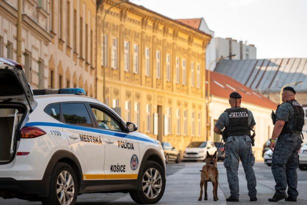 Pavelcak Stat chce riesit problemy na ukor policie