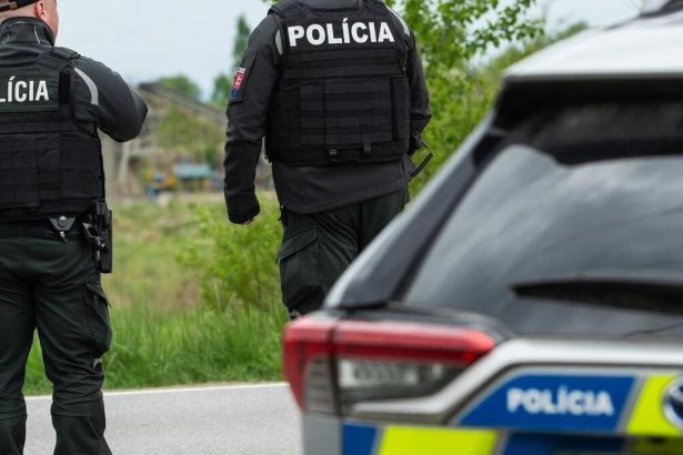 Po kradezi kabelky zhodil dochodkynu na zem tinedzera poslal sudca do vazby