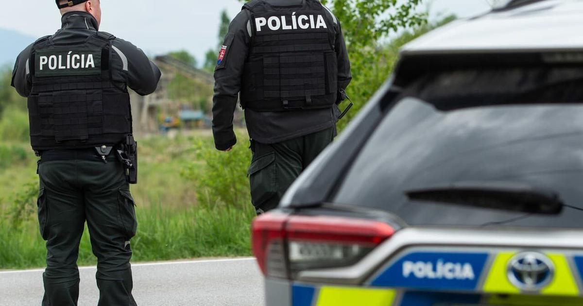 Po kradezi kabelky zhodil dochodkynu na zem tinedzera poslal sudca do vazby