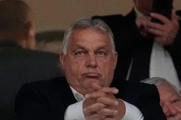 Pohlad V Orbanovu vyhru vo volbach veri 50 percent Madarov