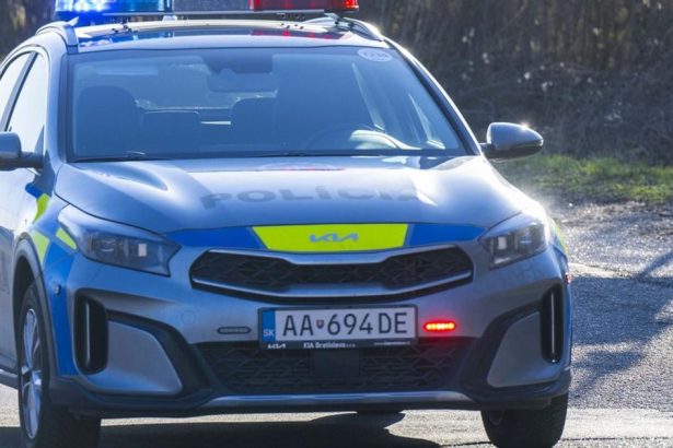 Policia zadrzala na zapade viacero ludi podozrivych z korupcie