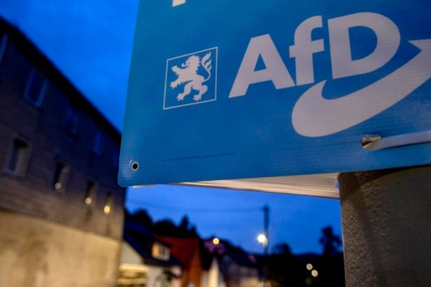 Prieskum Vacsina Nemcov si mysli ze AfD blizko k Rusku