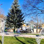 Rastol 26 rokov v zahrade teraz ziari v centre Martin ma svoj vianocny strom