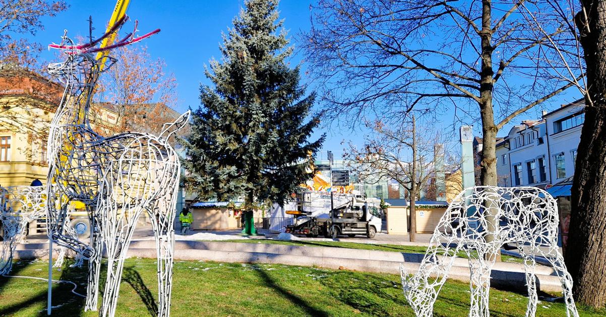 Rastol 26 rokov v zahrade teraz ziari v centre Martin ma svoj vianocny strom