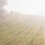 SHMU Na viacerych miestach Slovenska moze rano tvorit hmla