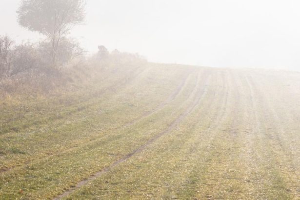 SHMU Na viacerych miestach Slovenska moze rano tvorit hmla