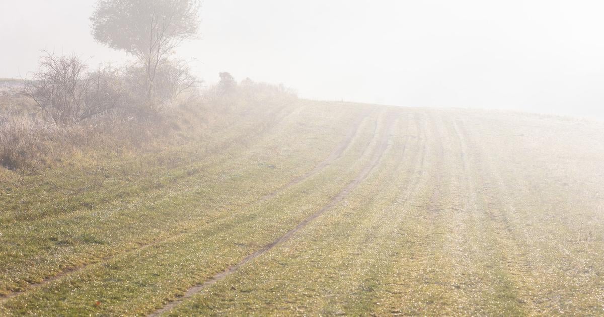 SHMU Na viacerych miestach Slovenska moze rano tvorit hmla