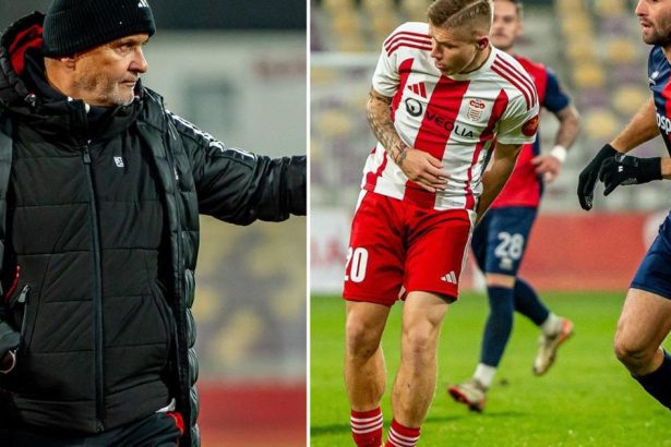 Stara liska poziera ViOn Najlepsi sa dusi hladaju tvar pride zachrana z Prahy Analyza