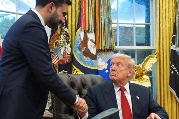 Trump a Mamdani sa po stretnuti stavaju spojencami
