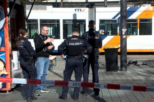 V nemeckom Mannheime sa zacal proces s utokom autom