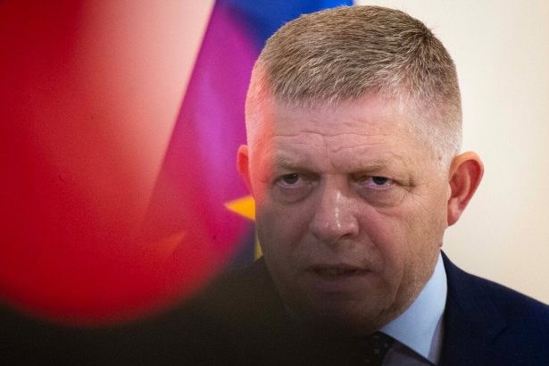 Verejny dlh dosiahol najvysie pasmo vlada zmrazi platy a rezervy