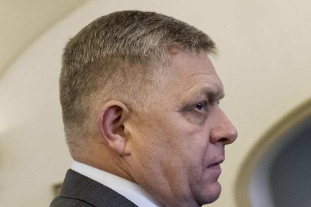 Vlada posudi zalobu voci EU za plyn