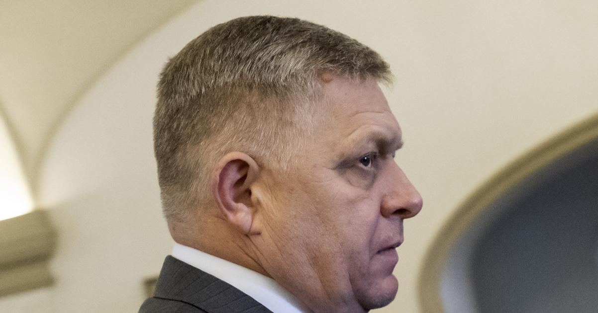 Vlada posudi zalobu voci EU za plyn