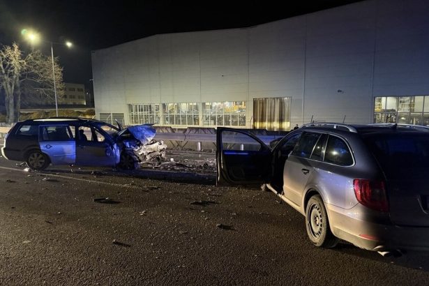 Vodic presiel do protismeru pri Puchove neprezil