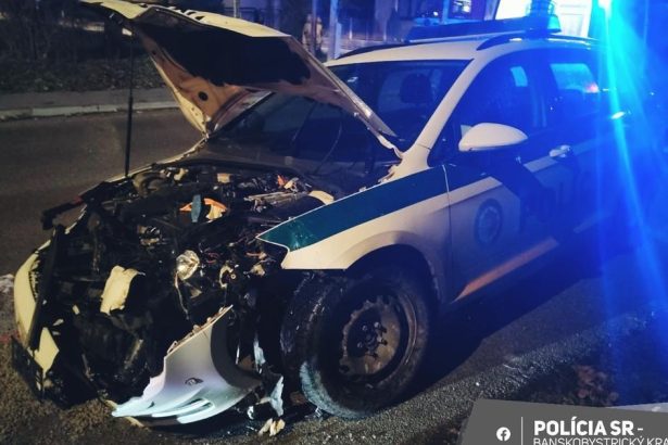 Zrazka aut sposobila zranenia boli aj policajti