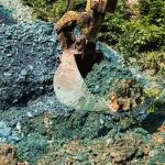 Zupu pre projekt v lesoch vysetruju Preco v Cesku stal o milion eur menej