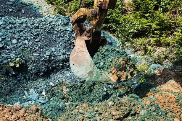 Zupu pre projekt v lesoch vysetruju Preco v Cesku stal o milion eur menej