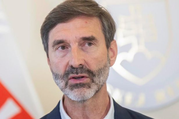 Blanar rokoval s velvyslancom Nemecka o spolupraci