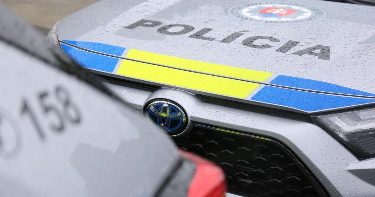 Bratislavska policia ziada o pomoc pri identifikacii zlodejov
