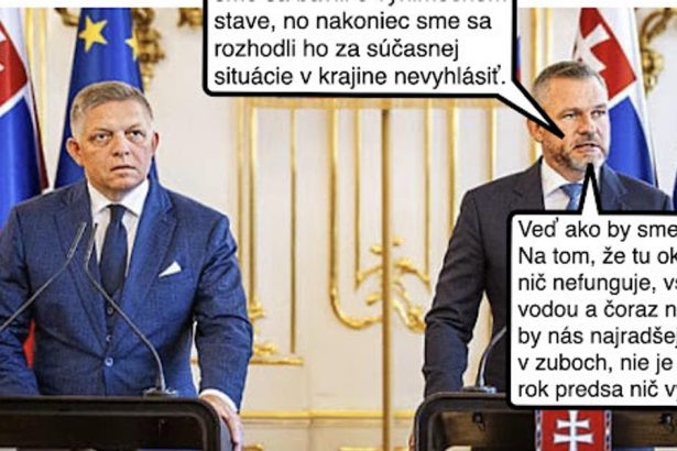 Cynicka obluda rekapituluje Velky januarovy prevrat