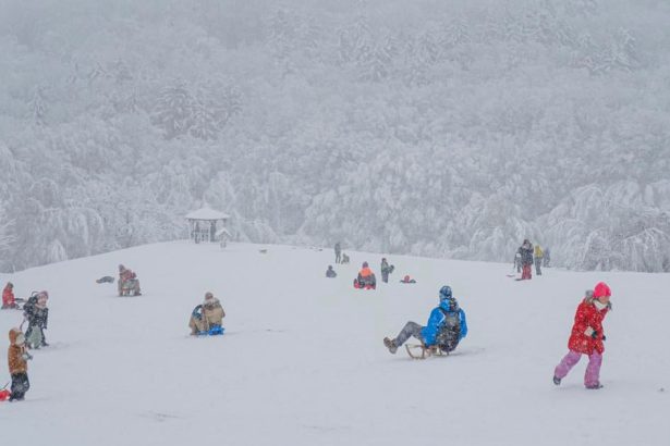 Dopravny podnik v Bratislave spusta zimnu sezonu linky 144
