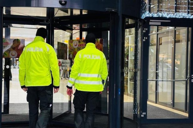 Dvoch seriovych zlodejov obvinila policia za kradeze