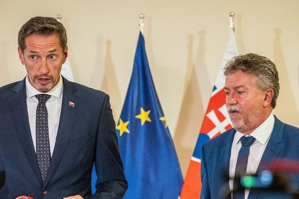 ENERGETIKA KDH kritizuje vladne energodotacie ako drahy projekt