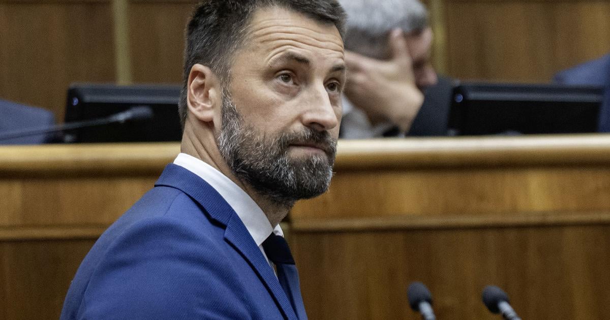 ENERGETIKA SaS kritizuje vladu za chaos v podpore energii