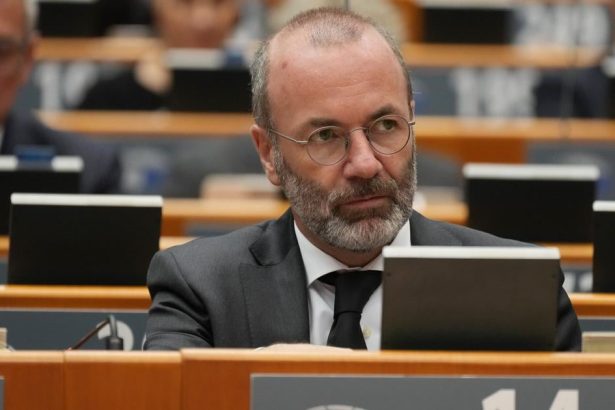 Komisia udajne zrusila zakaz spalovacich motorov v EU