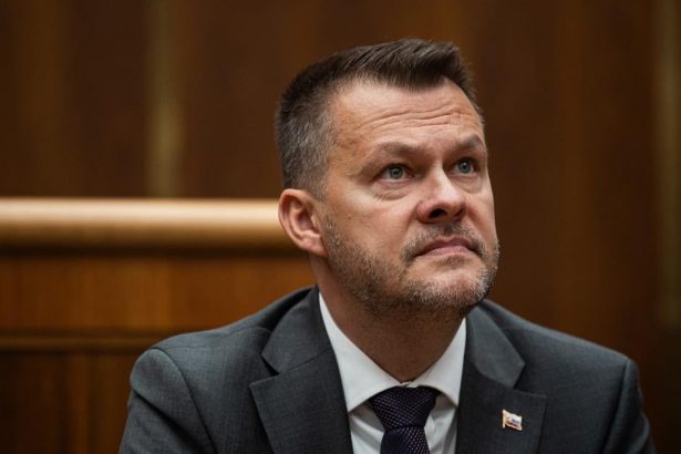 Kritika IT komunity sa potvrdila Urad stopol Migalov tender