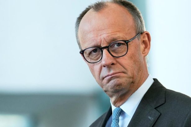 Merz EK by mala prehodnotit zakaz spalovacich motorov