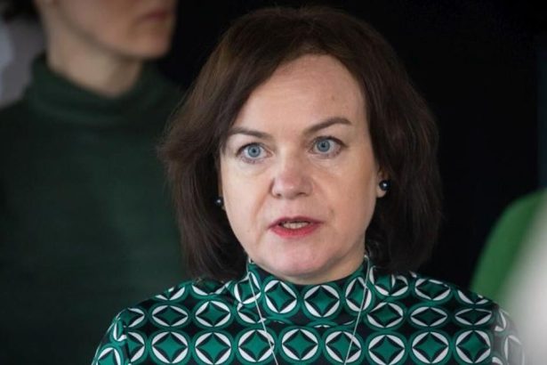 Mimovladky upozornuju na nezlucitelnost rusenia uradu s ustavou