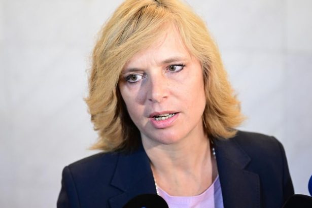 Minister Migal uzavrel netransparentny a nevyhodny najom tvrdi Remisova