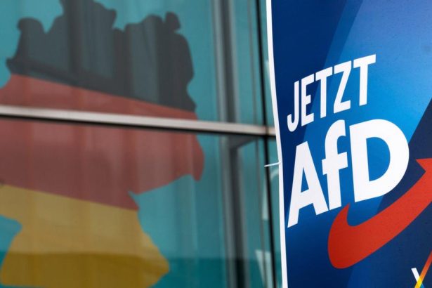 NEMECKO Poslanec za AfD celi obvineniu za pozdrav